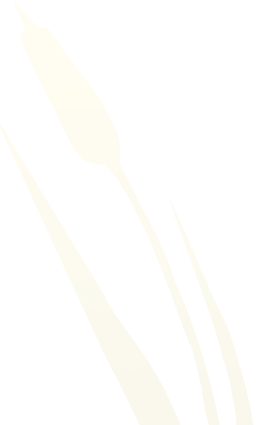 grain